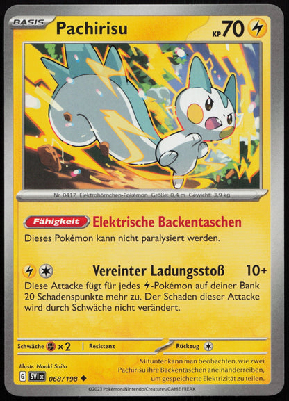 Pachirisu - Front