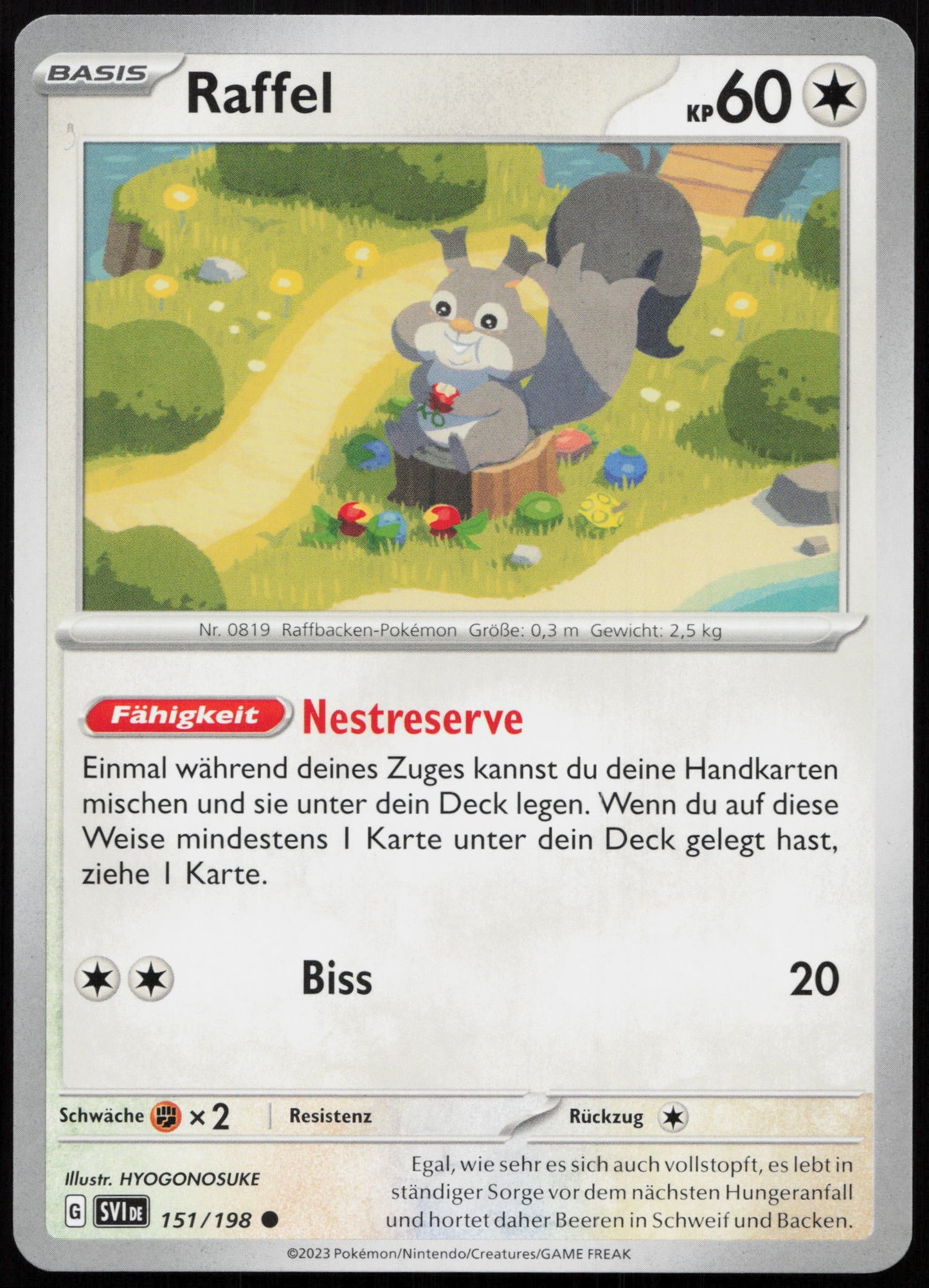 Raffel - Front