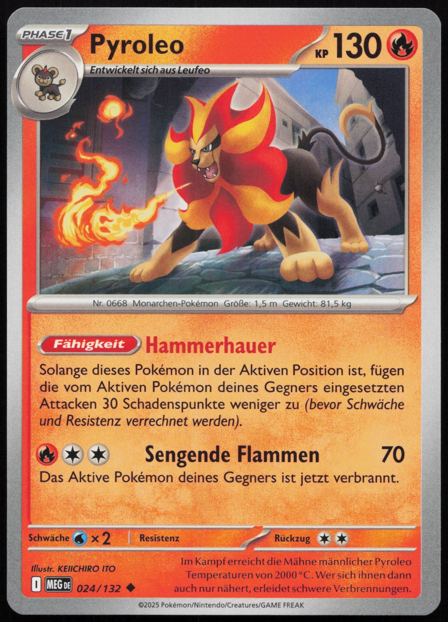 Pyroleo - Front