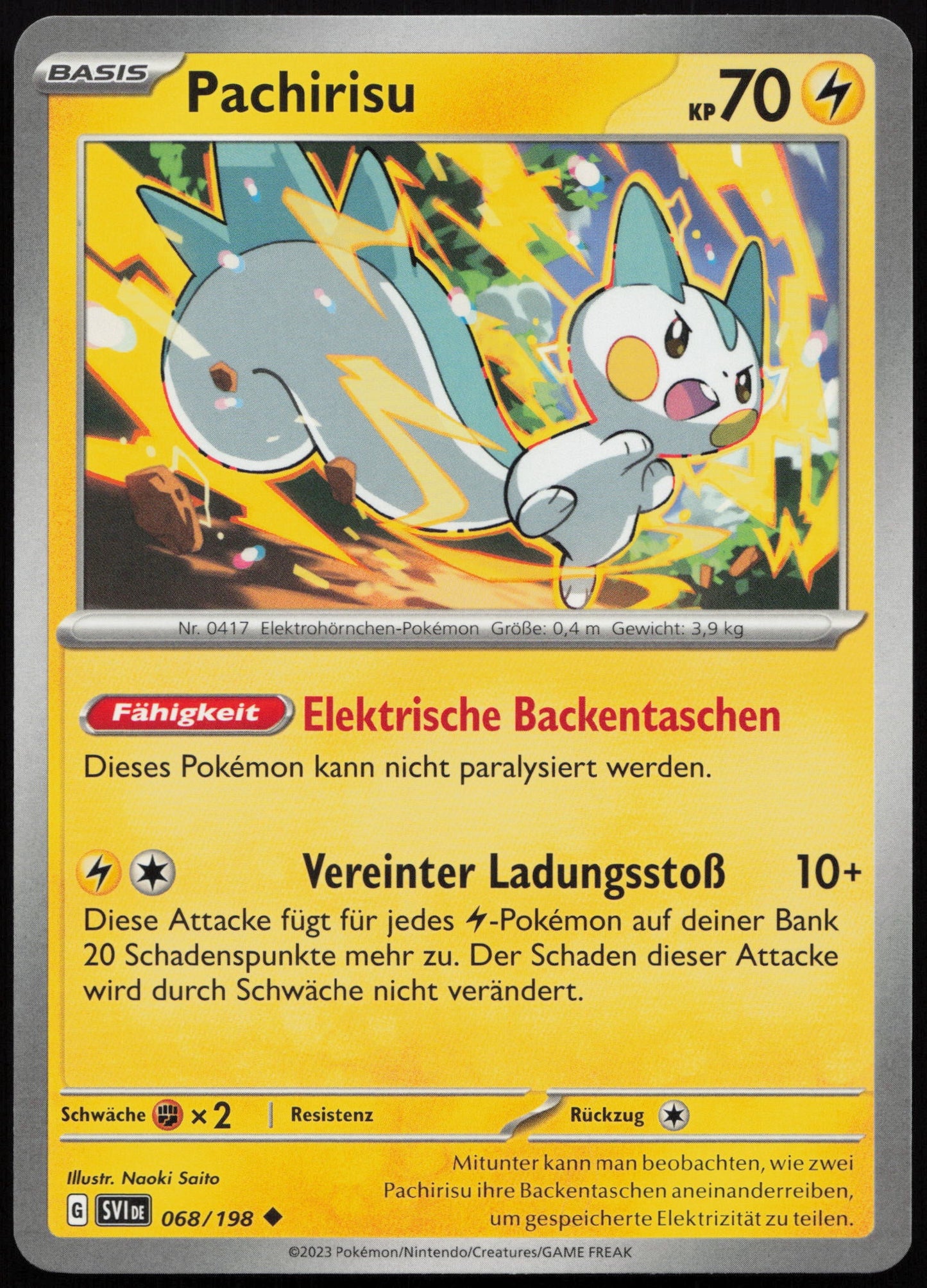 Pachirisu - Front