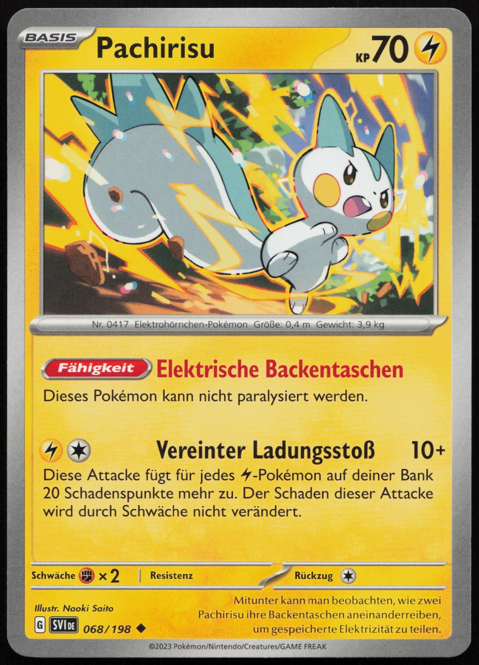 Pachirisu - Front