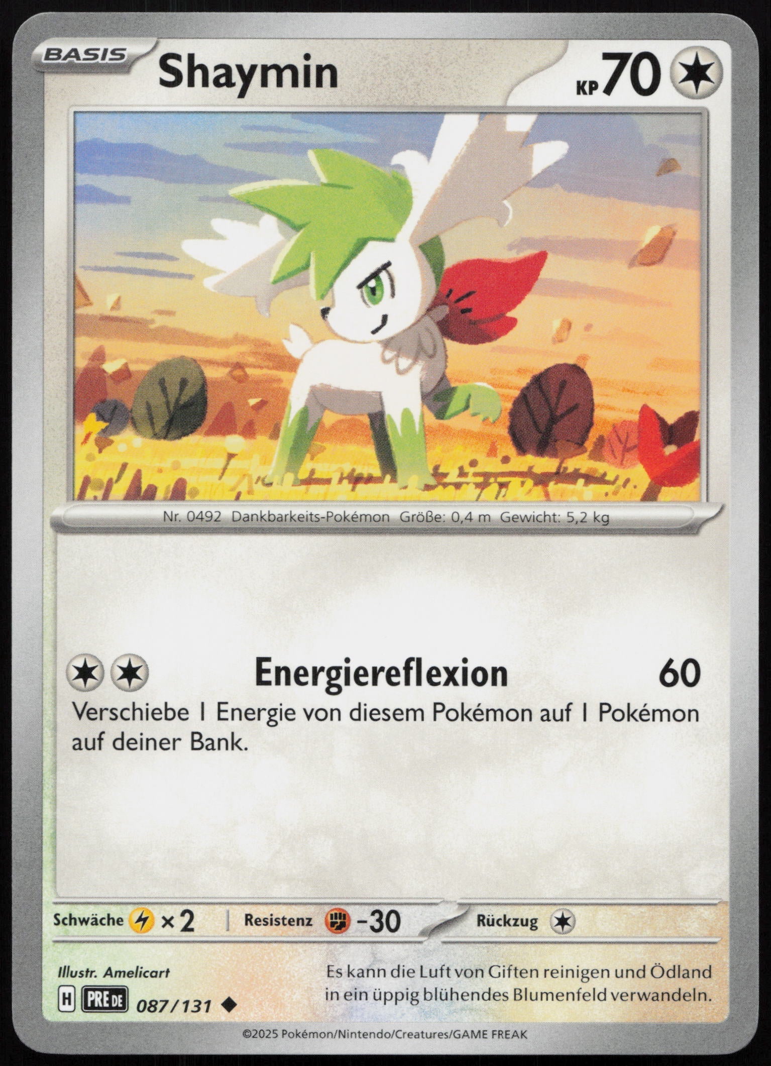 Shaymin - Front