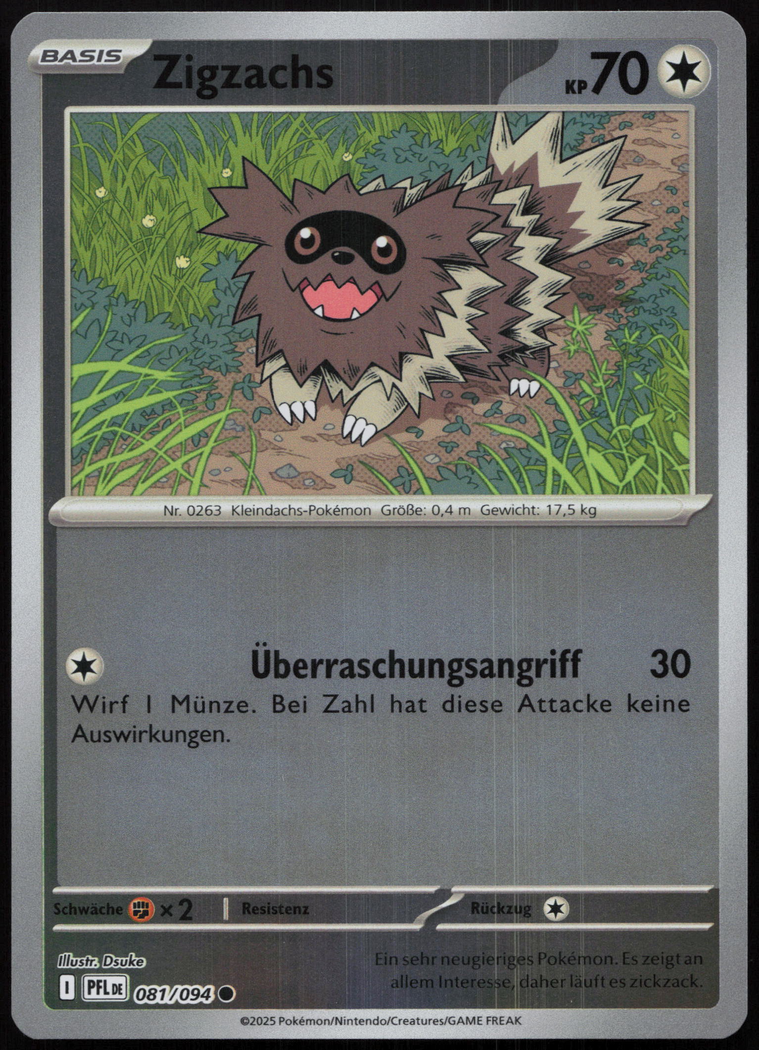 Zigzachs - Front