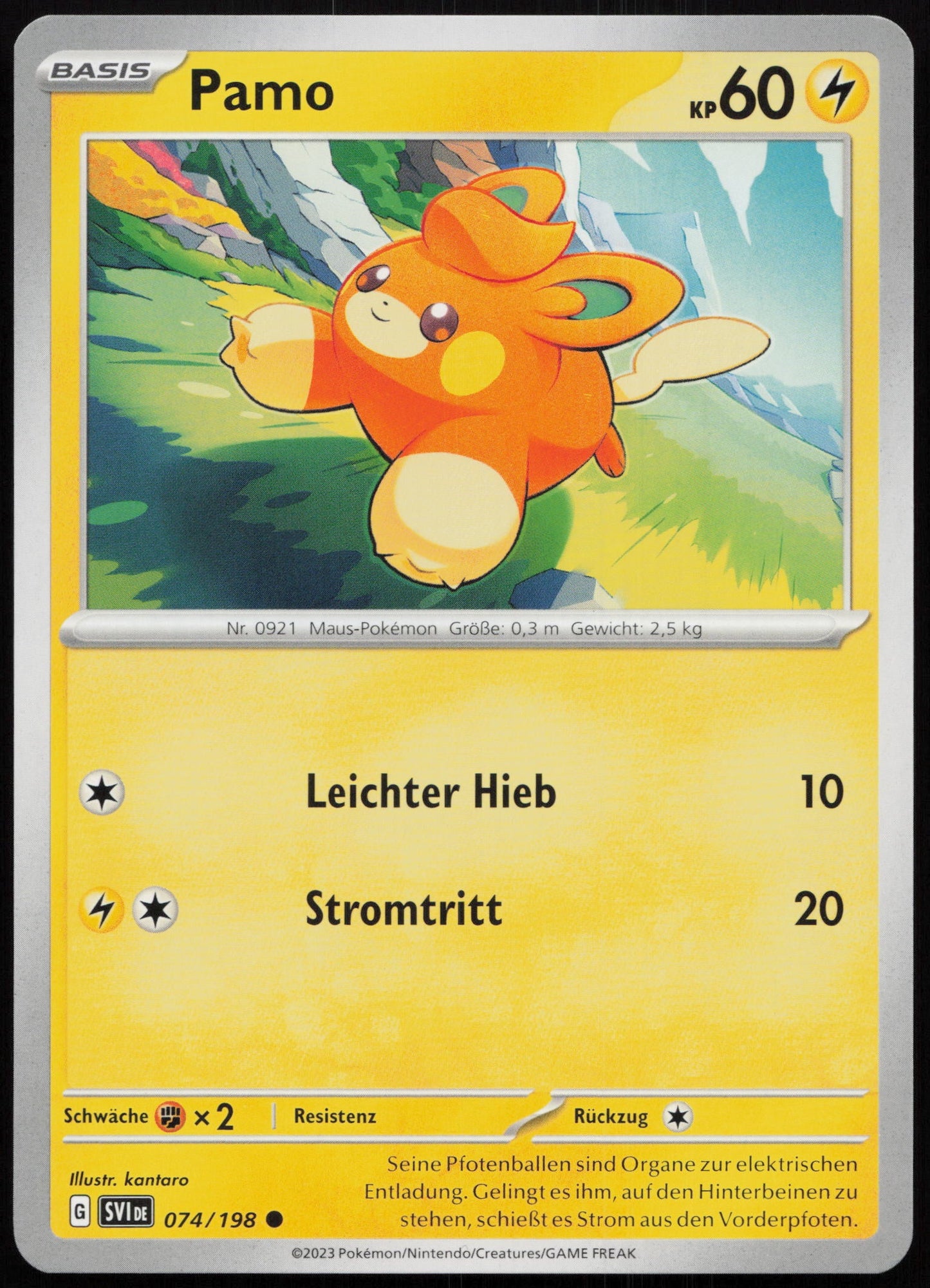 Pamo - Front