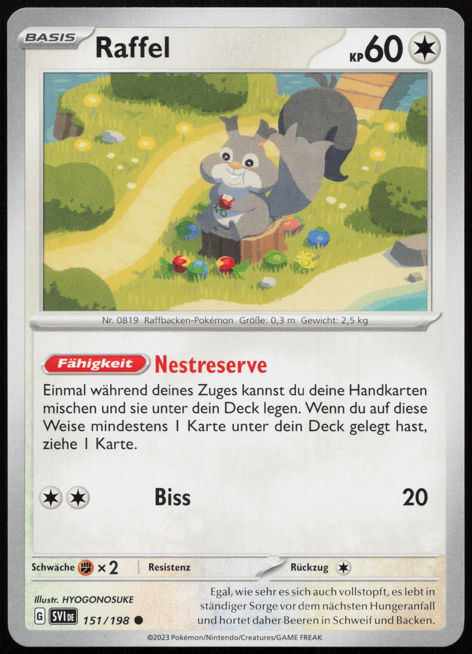 Raffel - Front
