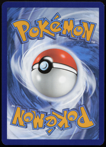 Bailonda - Back