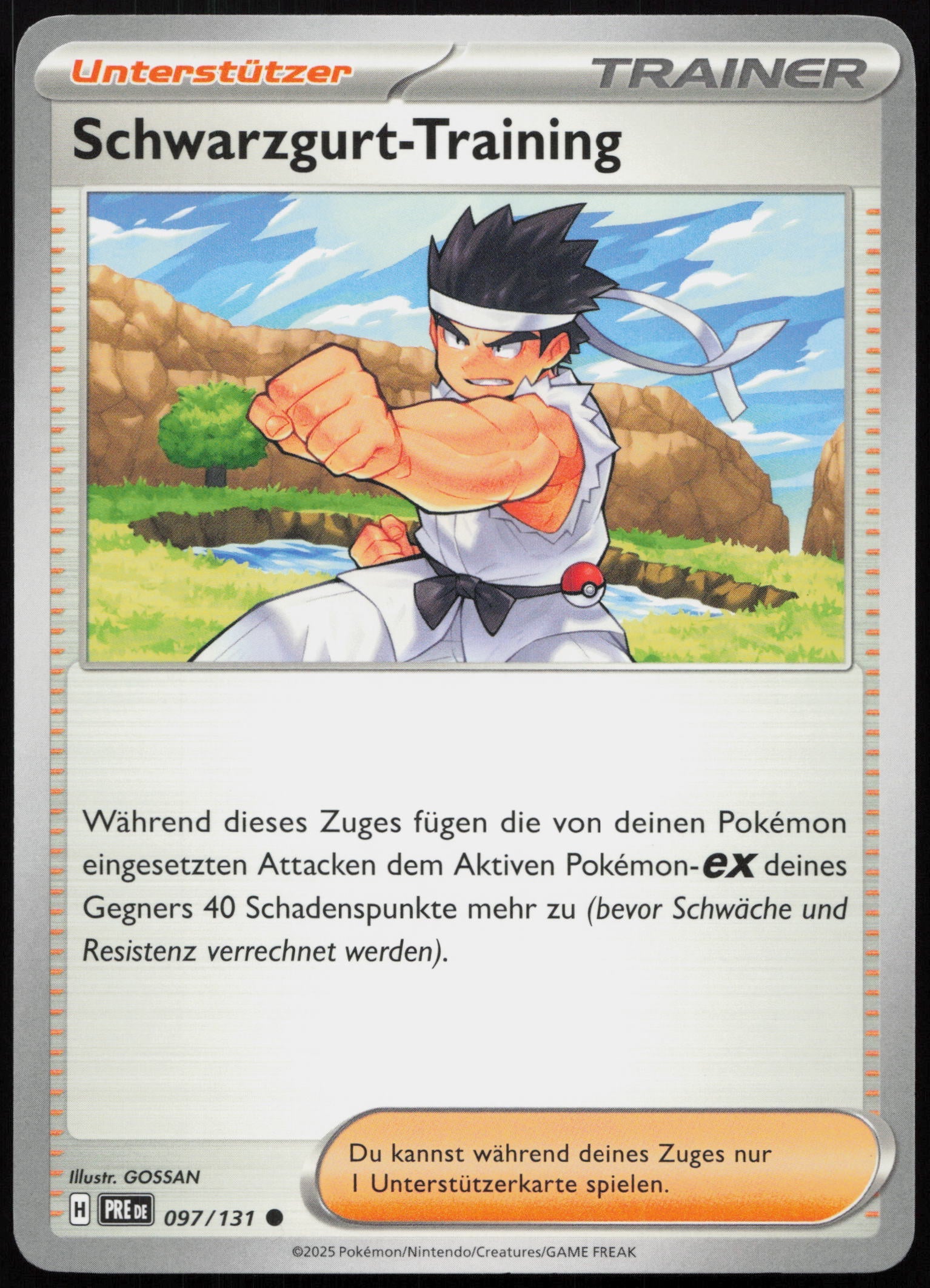 Schwarzgurt-Training - Front
