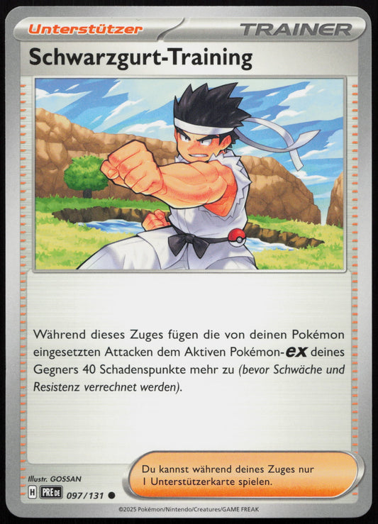 Schwarzgurt-Training - Front